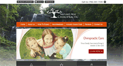 Desktop Screenshot of natureswaychiropractic.com